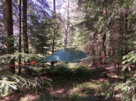 Baumzelt im Wald, budgethotel i Regen