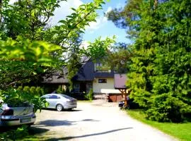 Pokoje Goscinne Majerczyk-Mountain View