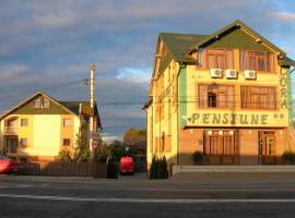 Pensiunea Cora, hotel in Piteşti