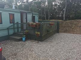 Lochlands caravan park X(6), holiday home in Forfar