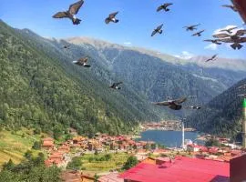 Uzungöl Özbek Apart ve Kafe