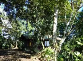 Pochotel Natural