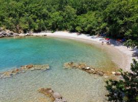 Molnar Resort Apartment Ljiljana, hótel í Brzac