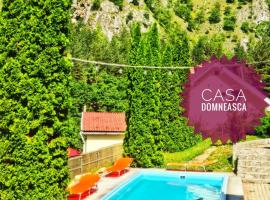 Casa Domneasca, ξενοδοχείο σε Baia de Fier