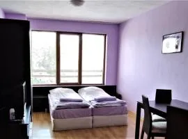 Predela 1 - Studio 10 near Bansko Ski Lift