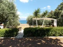 Peter's Village