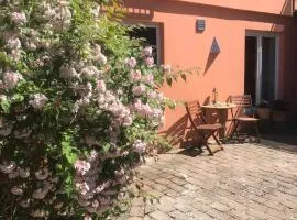Moderne großzügige Souterrainwohnung Zarrentin Gallin Schaalsee Natur Wald Wasser