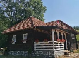 Etno selo Raković