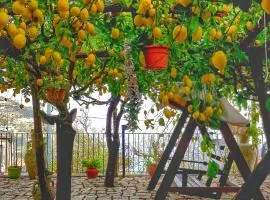 Il Limoneto di Lulù, holidays among the lemon trees