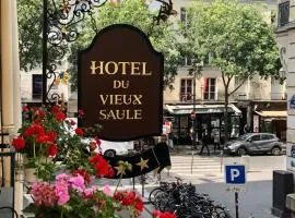 Hôtel Du Vieux Saule