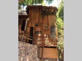 La Casa entre los Árboles en el Valle de Elqui Montegrande, hótel í Paihuano