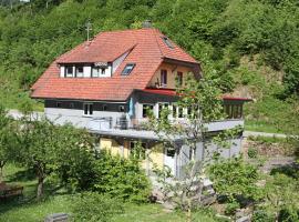 Haus Belchenwiese, hotel with parking in Kleines Wiesental