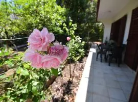 Igalo Garden Apartment
