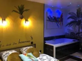 Appartement cosy avec baignoire balnéo