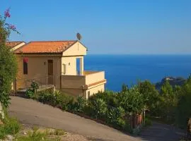 Casa Rex