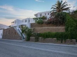 Prasini Gonia