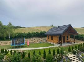 Domek na Górce 660 704 280, Hotel in Baligród