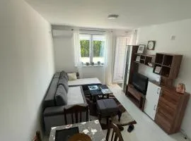 Apartmani JOVANOVIC Sokobanja