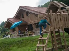 TOUT NEUF - Chalet Pébie 8 à 10 pers avec sauna