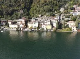 Lugano Lake, nido del cigno