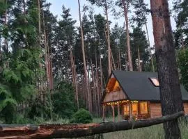 Pod Czarnym Dzięciołem - dom z widokiem i prywatną balią