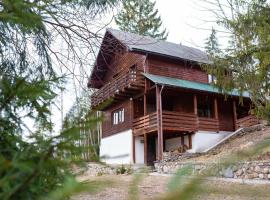 Hill Chalet, hotel v destinaci Beliş