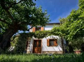 Lovely House with Hot Tub and View Over Salt Pans TIMOR