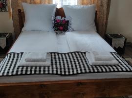 La Lenuța &Icirc;n Susani