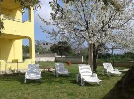 Guest house MIA