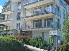 Apartament Czarna Góra B11