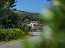 Olive Hill Family House, hotell i Vis