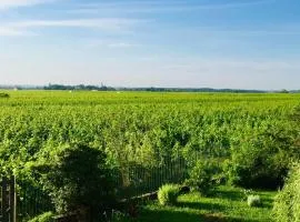 Appartement avec vue sur les vignes à Gevrey