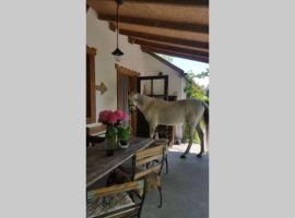 Igricz Farmház, cabaña o casa de campo en Pócsmegyer