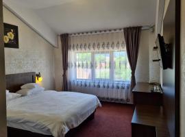 GREEN VIEW, hotel v destinaci Zărneşti