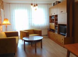 Ferienwohnung Ernst 10, apartament a Gelenau