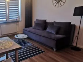 Apartament Platynowy w Centrum Miasta