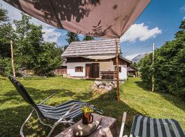 Postaja Mir in the heart of Triglav National Park, brunarica v Bohinju