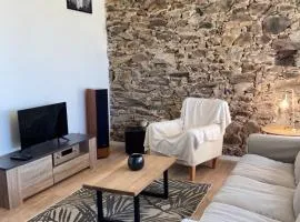 « La Crécerelle » spacieux gîte contemporain entre Tarn et Aveyron