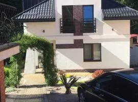 House in Lviv