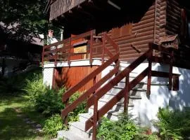 Janezova koča Sviščaki
