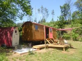 Rosa the Cosy Cabin - Gypsy Wagon - Shepherds Hut, RIVER VIEWS Off-grid eco living
