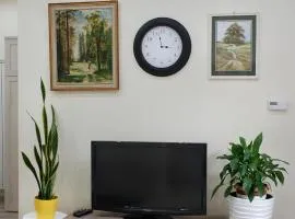 Apartment - Przy Rynku self check in 24h od 14 00
