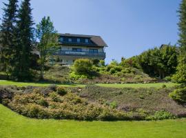 Pension Haus Petra, hotel in Altenau