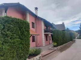 Apartman Zlatibor Mulina