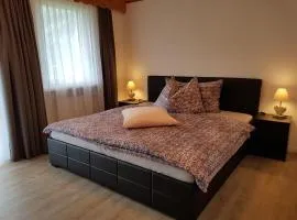 Chalet Schneevogul