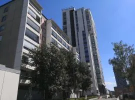 Central Tammela 80m2