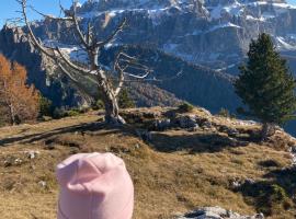 Arya Alpine Lodge: Selva di Val Gardena, Ciampinoi yakınında bir otel