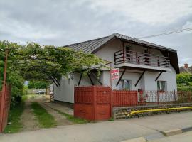 Casa Mirandre, homestay in Haţeg