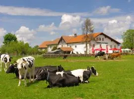 Auberge du Peu-Péquignot