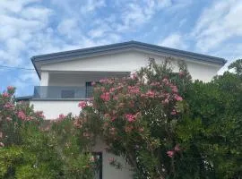 Apartments A&S